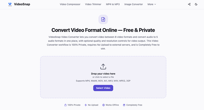 VideoSnap-1