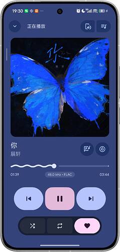 Screenshot_2026-06-13-19-30-22-442_com.theveloper.pixelplay.debug-edit