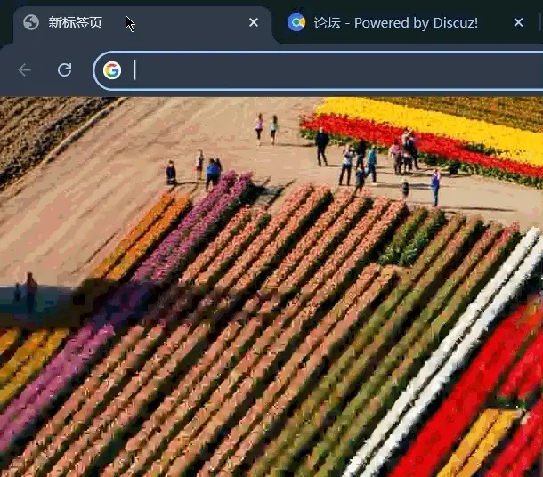 屏幕录制 2026-05-29 235044